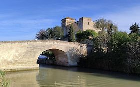 Gite Et Chambre D'Hote Entre Tilleul Et Agrumes